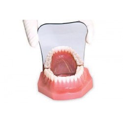 Espejo Intraoral Foto Oclusal Cristal 1u 
